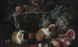 Літаратурны Нобель, Сярэдняя Еўропа і марскія свінкі