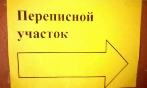 Перапіс-2019: як гэта было са мною і колькі сліваў я вырошчваю