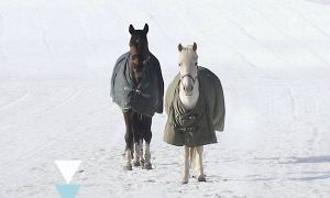 Пакуты і прызнанні 35-гадовай гераіні