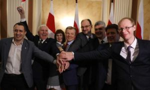 Віртуальная палітыка апазіцыйнага гета: эпізод 2020