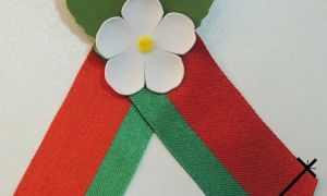 Кароткая гісторыя яблыневай бутаньеркі ў Беларусі